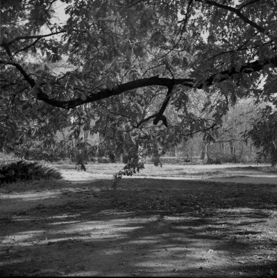 img007-11.jpg