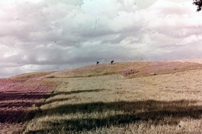 05 Agrarlandschaft in Masuren.jpg
