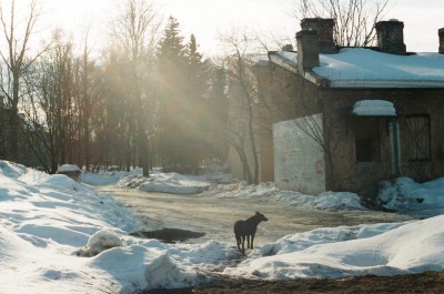55270014_1.jpg