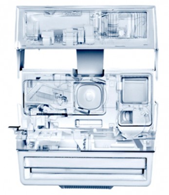 maxesteban_interior1_cr.jpg