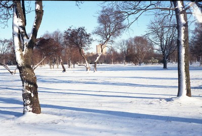 img386-111.jpg