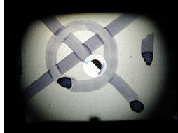 c-infocus.jpg