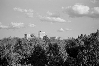 2021-07-21-0001.jpg