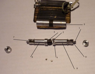 P1130244_resize.JPG