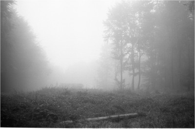 img487.jpg