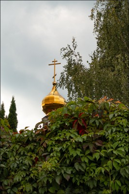 DSC00851-1.jpg