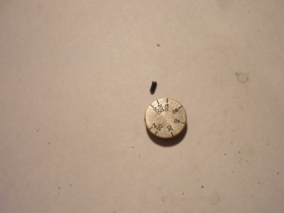 P1130618_resize.JPG