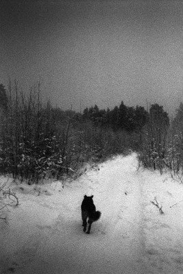 8C783670-2194-4A58-A838-EAB19AB5F849.jpeg