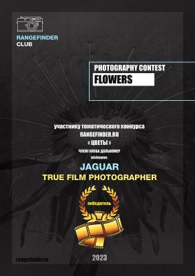 RFCertificate2023-2FLOWERS.jpg