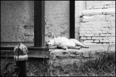 August_2023_Kiev_4_63_Jup_8_FP4_00131.jpg