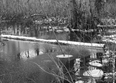001927190023-crop.jpg