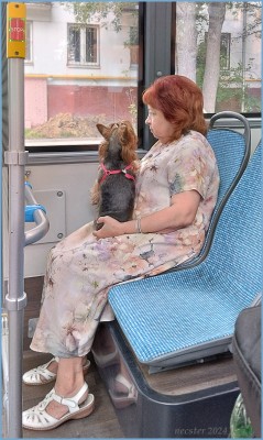 2024-08-22_в-автобусе.jpg