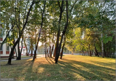 2024-09-07_7-сентября.jpg