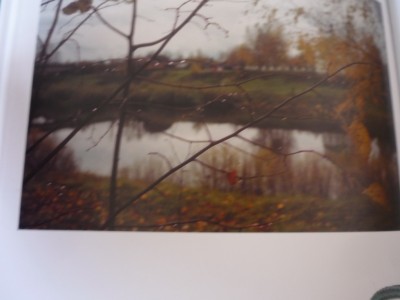 P1070074_новый размер.JPG