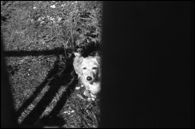Aug_2024_Leica_CL_Canon 5028_Accol_3535_FOMA_400_0012.jpg