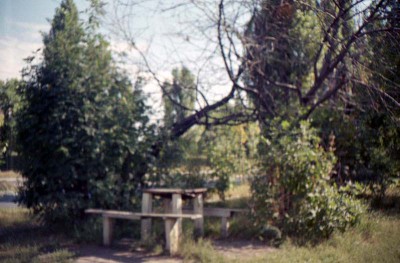 fuji-20110903035-2.jpg
