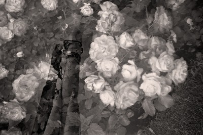 img395+1+1.jpg