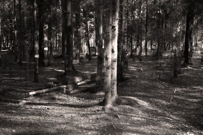 img724+1+1.jpg