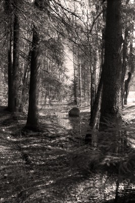 img722+1+1.jpg