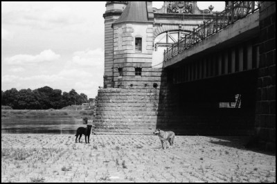 Jule_2023_Nikon_S2_Nikk_502_FP4_0023.jpg
