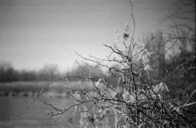 Image13.jpg