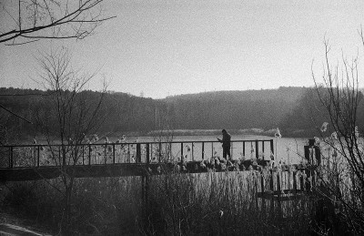 Image15.jpg