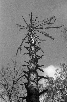 Image19.jpg