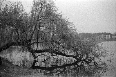 Image29.jpg