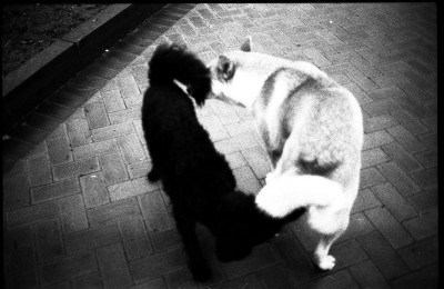 IMG_0864.jpeg