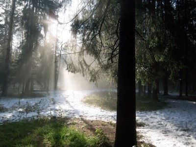 File968 - копия.JPG