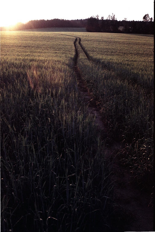 табор-ушёл-в-белое