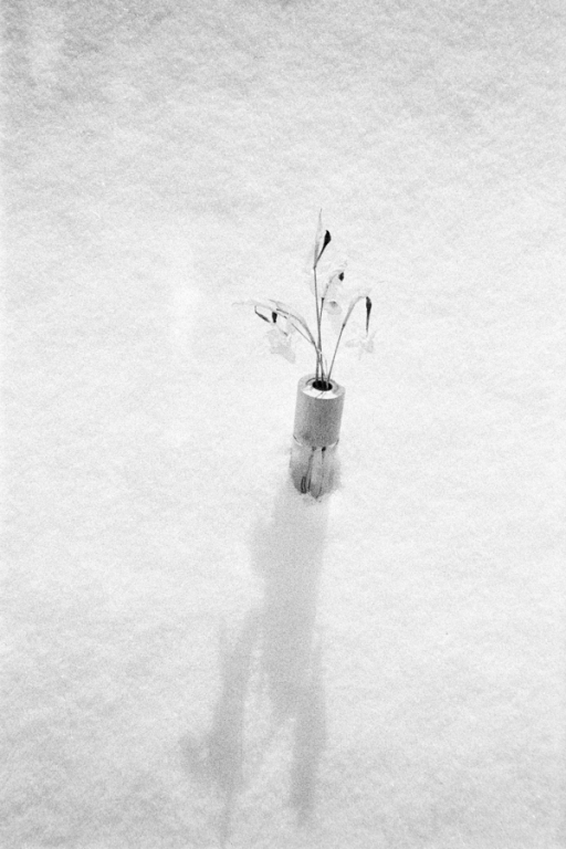 untitled-2